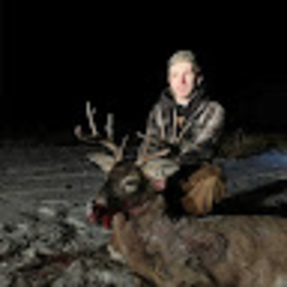 Meet your Posher, Owen - Picture 1 of 1